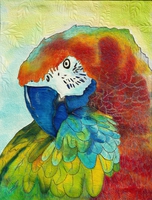 Parrot Ara